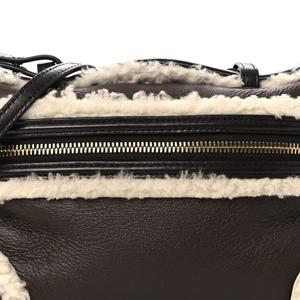 Calfskin Shearling Bang Bang Vanity Case Light Brown Teddy