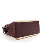 Calfskin Colorblock Mime Single Handle Bag Ruby Marine