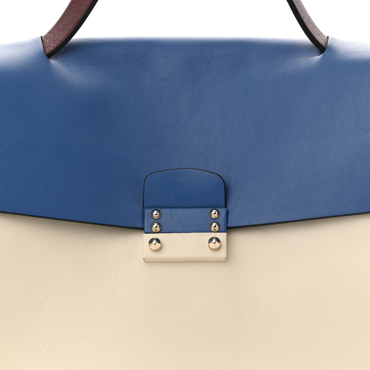 Calfskin Colorblock Mime Single Handle Bag Ruby Marine
