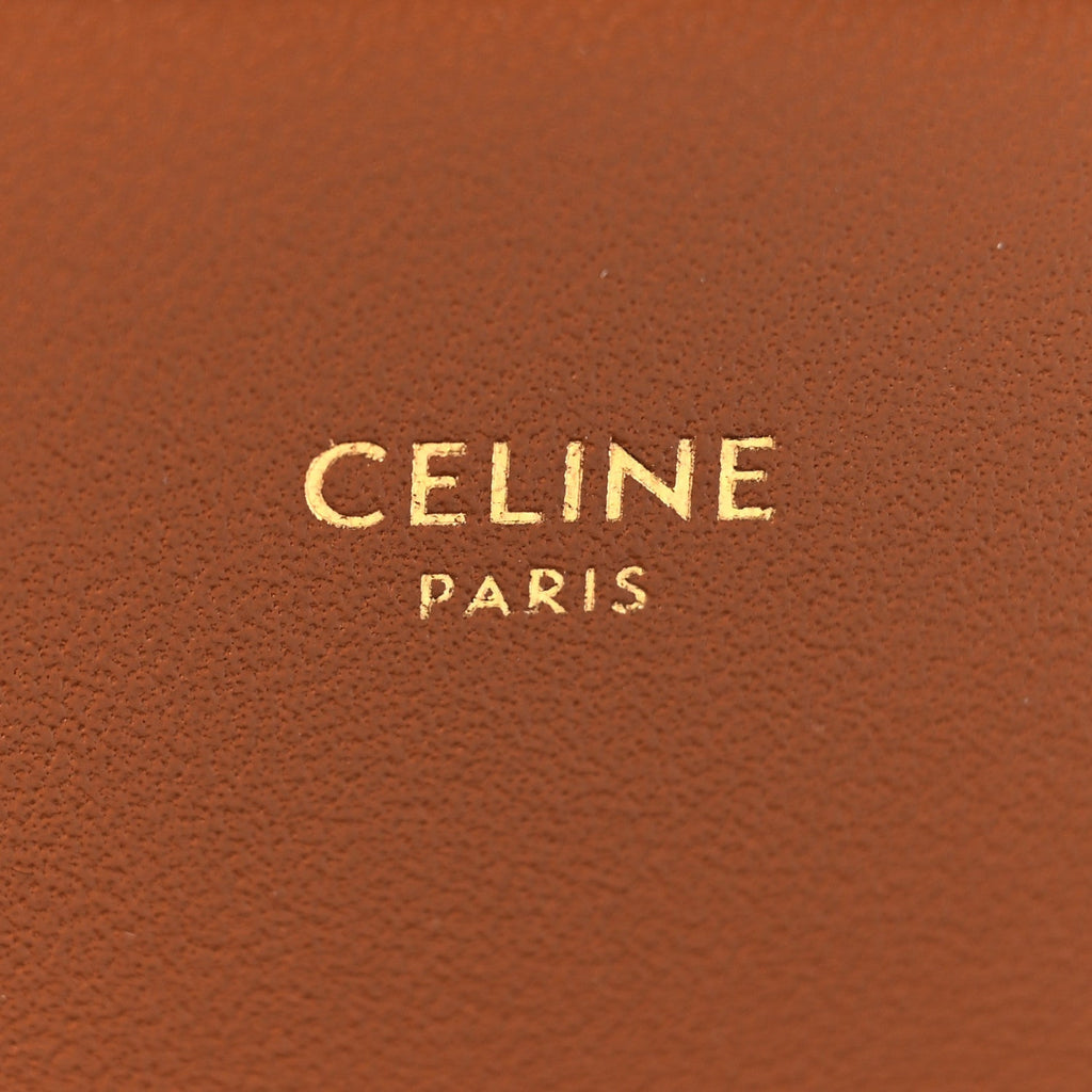 Calfskin Triomphe Canvas Teen Triomphe Bag Tan