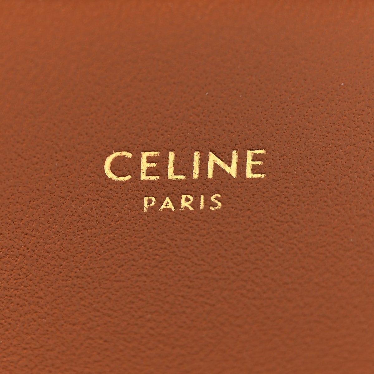 Calfskin Triomphe Canvas Teen Triomphe Bag Tan