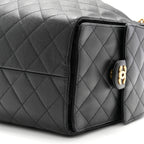 Caviar Quilted Medium Chanel 25 Handbag Black