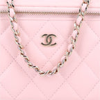 Caviar Quilted Small Vanity Case With Chain Pink