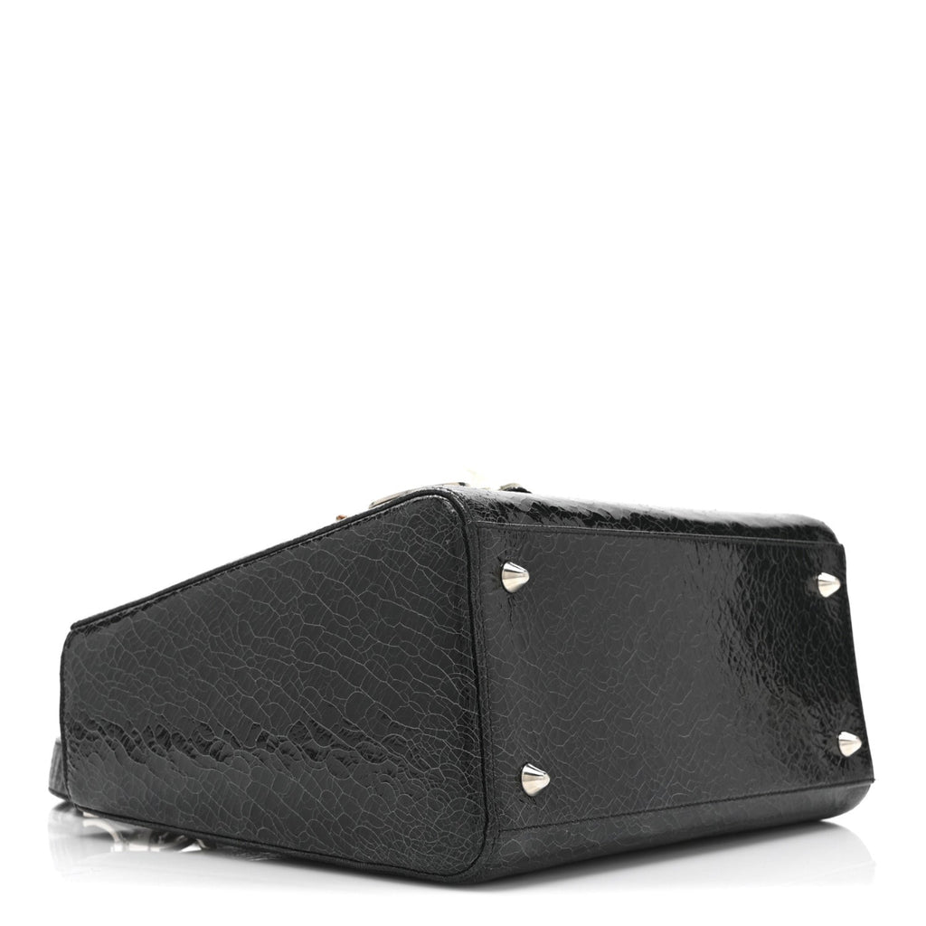 Ceramic Effect Deerskin Jeweled Swan Lady Dior Black