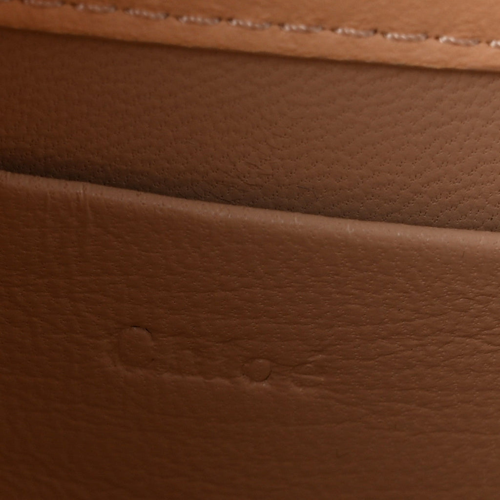 Calfskin Lizard Embossed Nile Bracelet Minaudiere Bag Pink