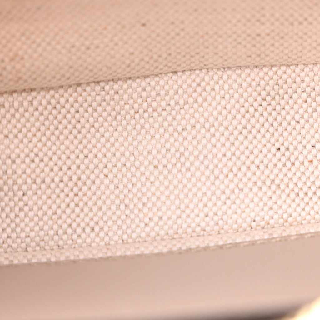 GG Supreme Monogram Textured Dollar Calfskin Web Mini Ophidia GG Handbag Beige Mystic White Oatmea