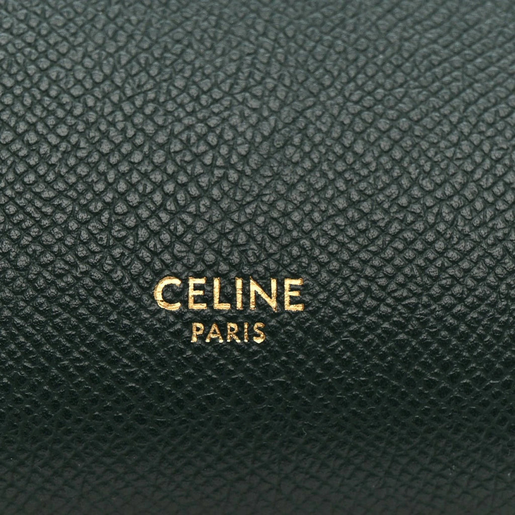 Grained Calfskin Mini Belt Bag Amazone