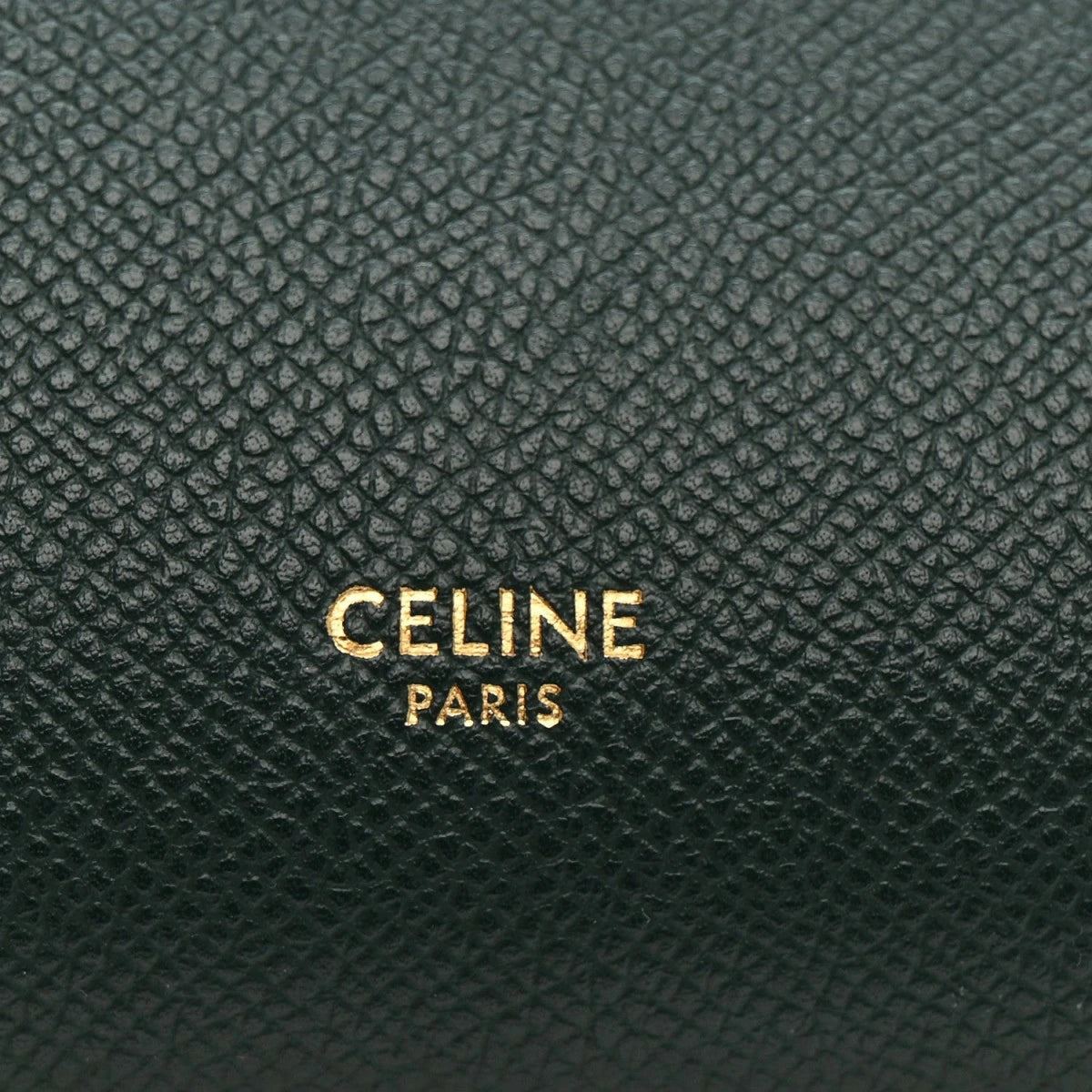 Grained Calfskin Mini Belt Bag Amazone
