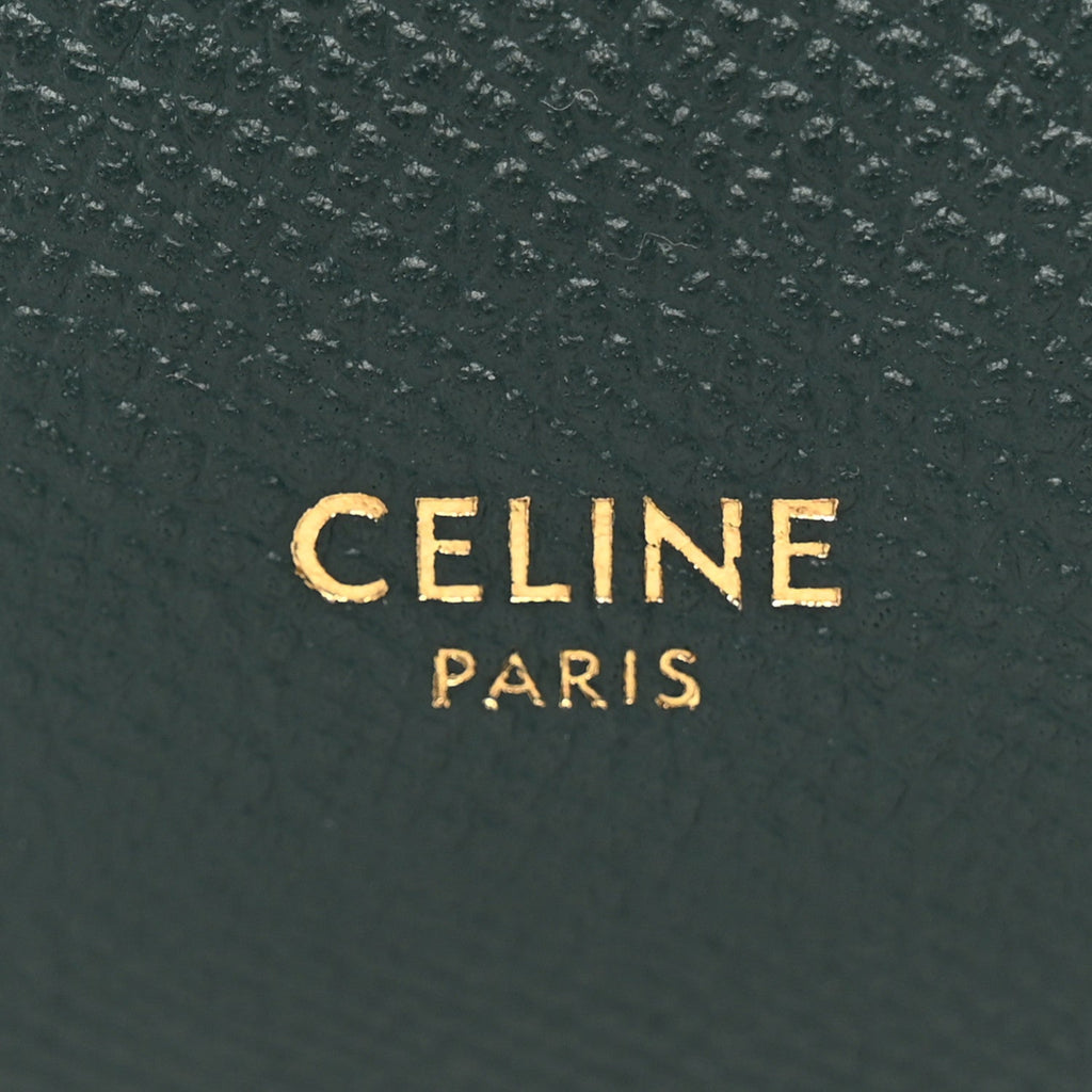 Grained Calfskin Micro Belt Bag Amazone
