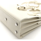 Grained Calfskin Nano Sac de Jour Dove White