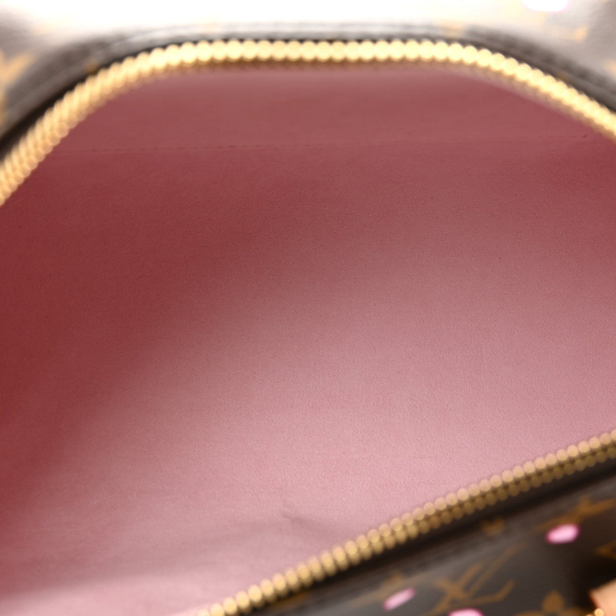 LV X TM Monogram Cherry Blossom Papillon Sakura Brown