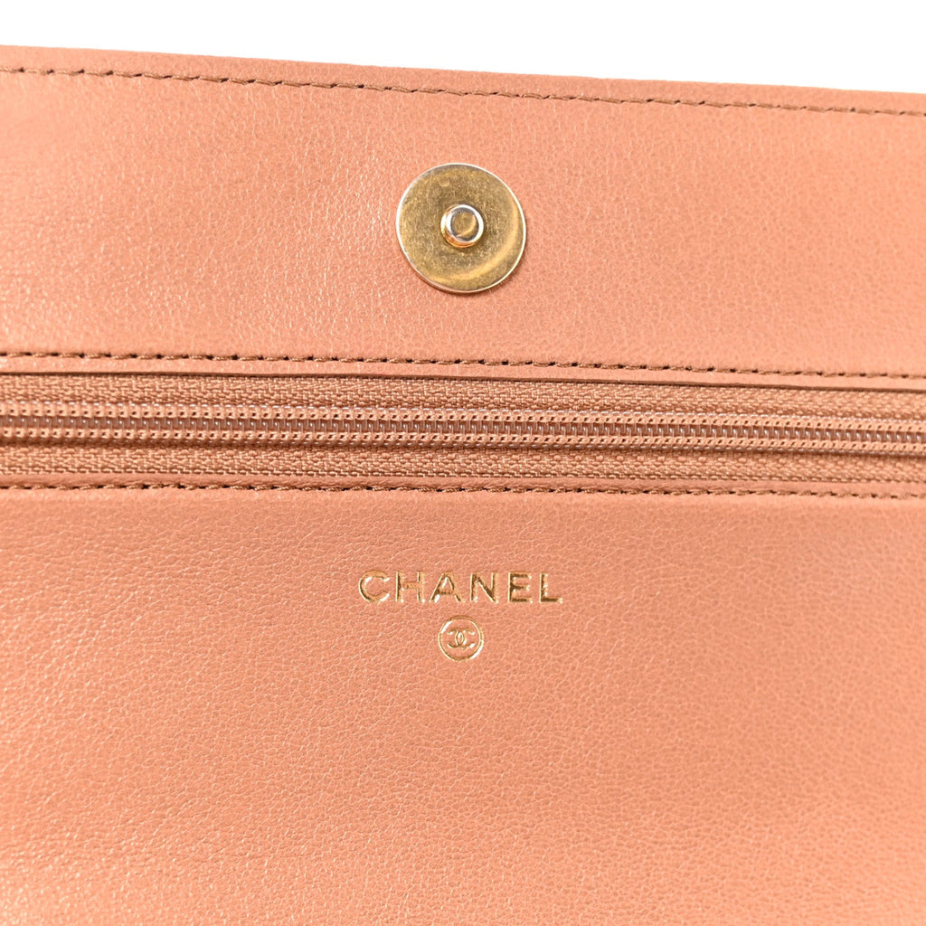 Lambskin Quilted Chanel 19 Wallet On Chain WOC Brown
