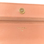 Lambskin Quilted Chanel 19 Wallet On Chain WOC Brown