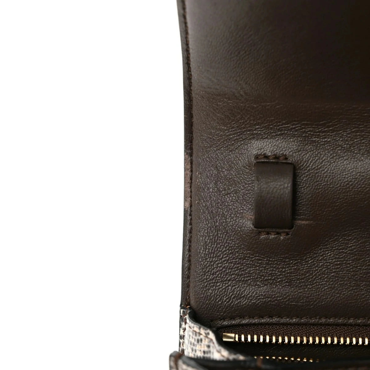 Lizard Small Classic Box Flap Bag Natural