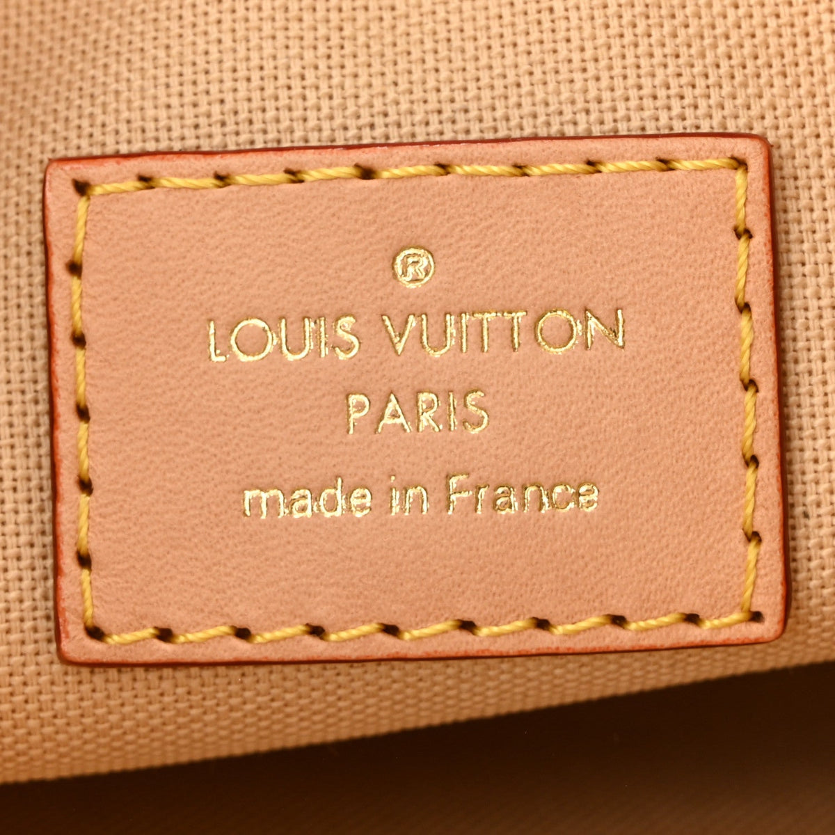 Monogram Hills Pochette Mini Mastic