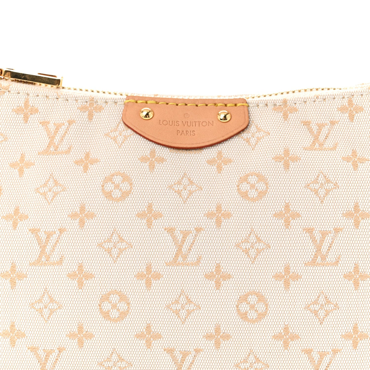 Monogram Hills Pochette Mini Mastic