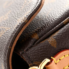 Monogram Ivy Wallet On Chain