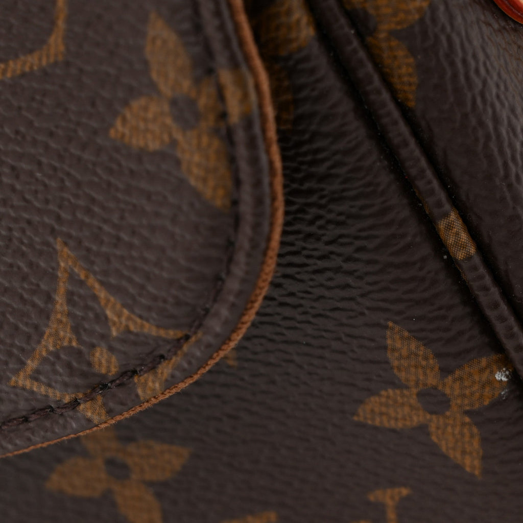 Monogram Ivy Wallet On Chain
