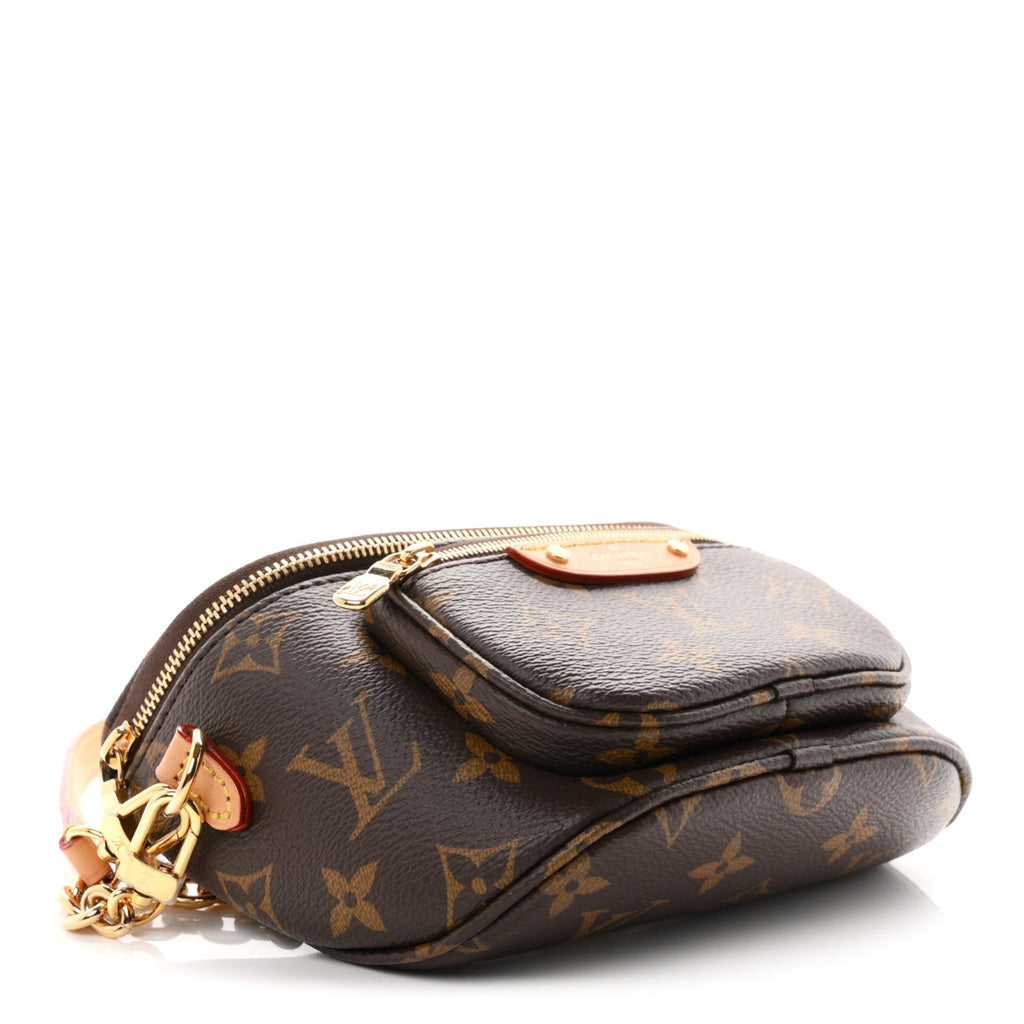 Monogram Mini Bumbag