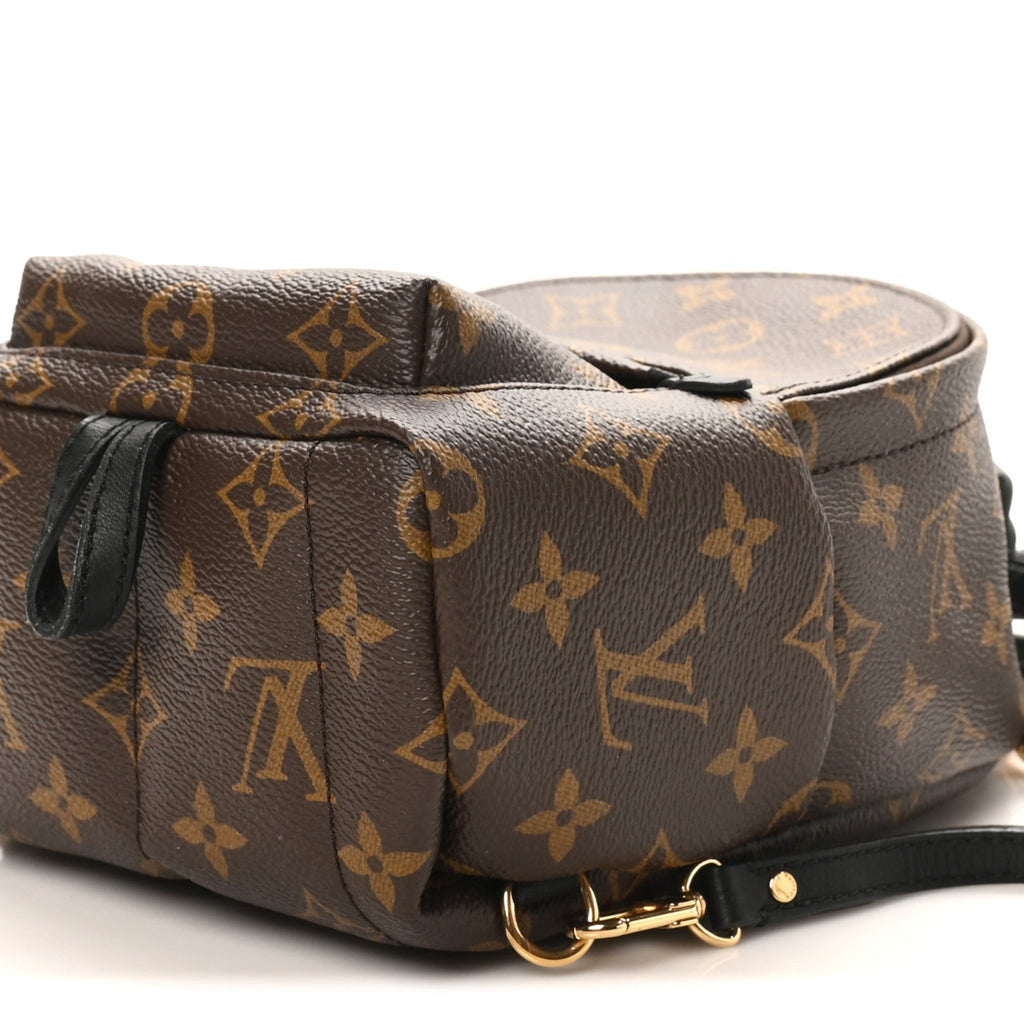 Monogram Palm Springs Backpack Mini