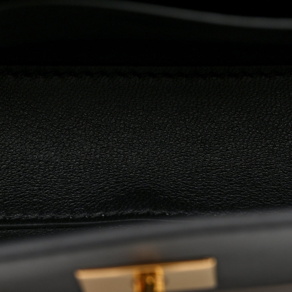 Natural Smooth Calfskin Nano Rodeo Top Handle Handbag Black