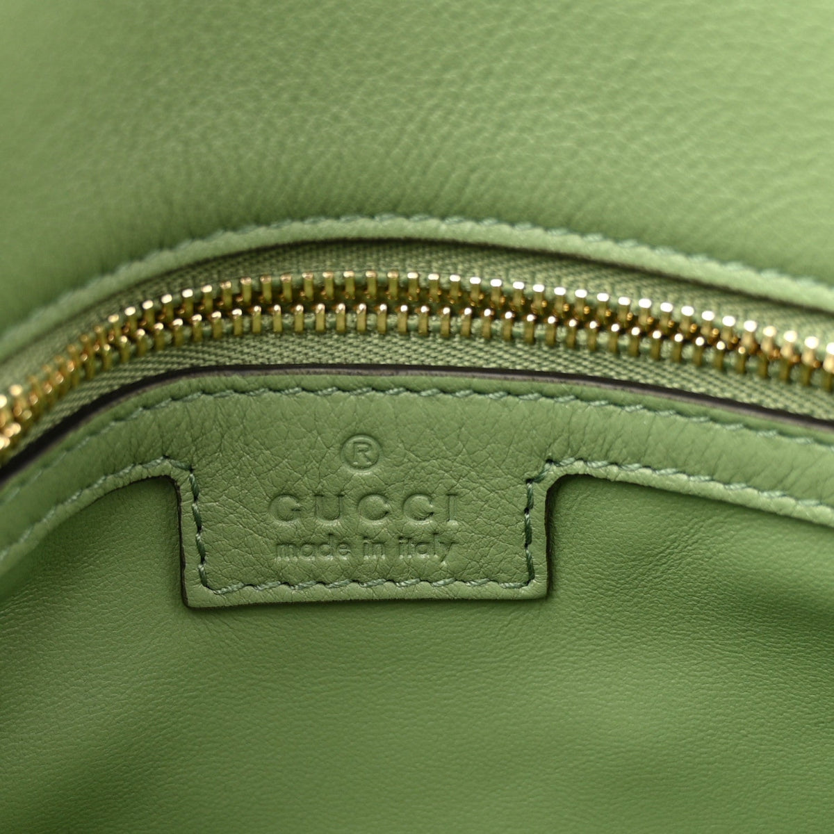 Roxy Calfskin Web Medium Blondie Top Handle Shoulder Flap Bag Salamander Green