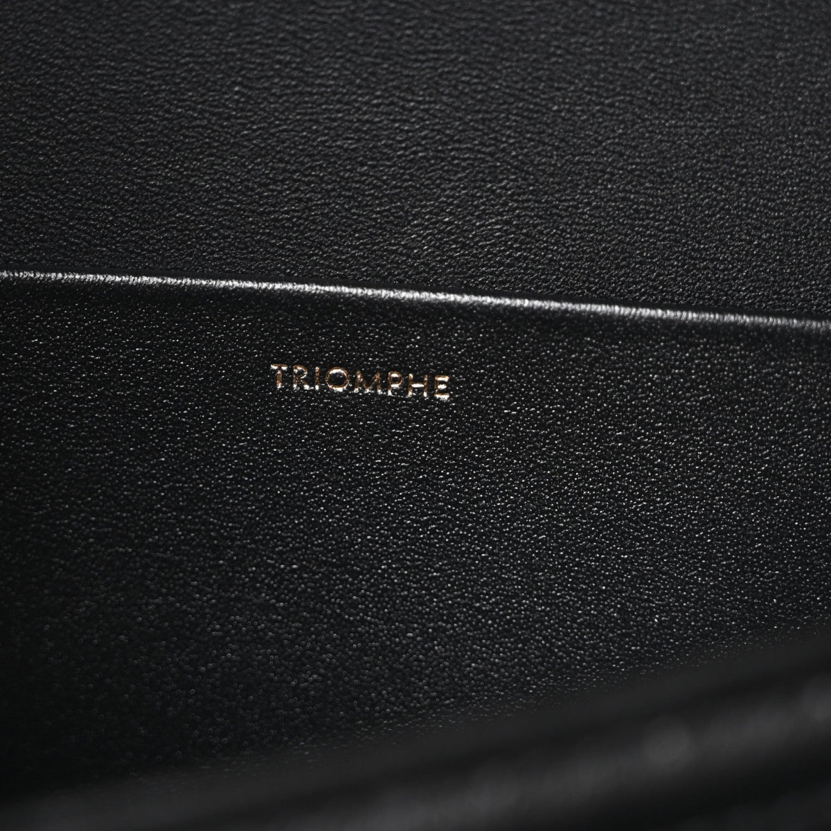 Shiny Calfskin Medium Triomphe Black