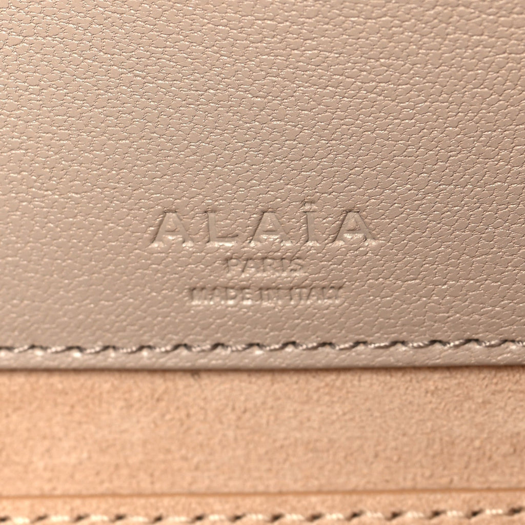 Shiny Goatskin Medium Le Teckel Bag Grege