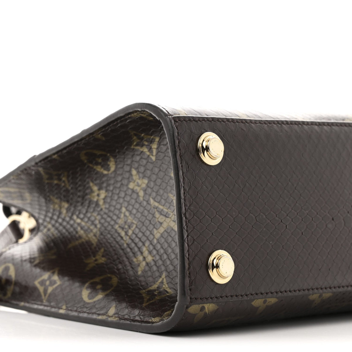 Snakeskin Monogram City Steamer Mini Brown