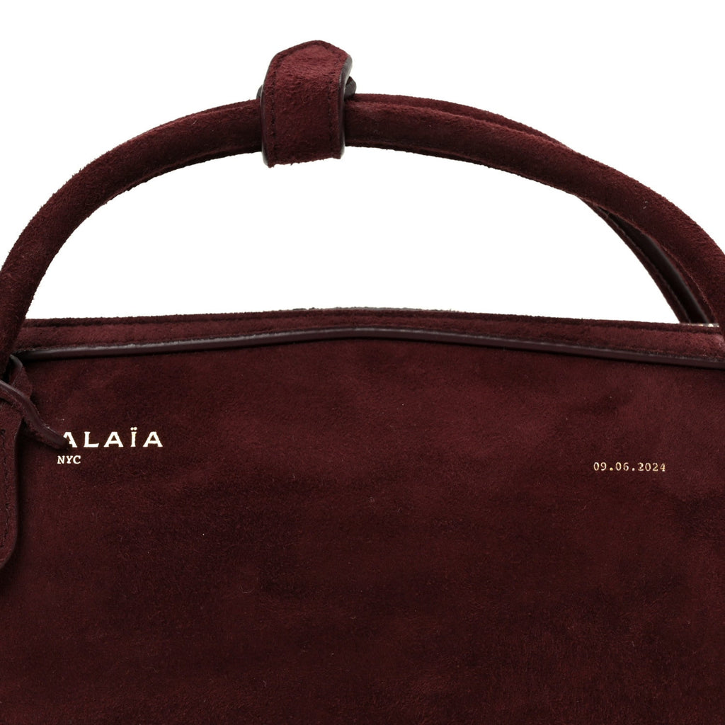 Suede Goatskin Le Teckel Clutch Rouge Grenat